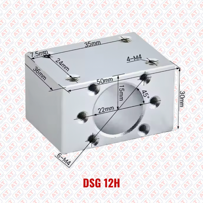 DSG 12H WERB