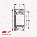 NATR 20