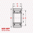 NATR 40