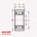 NATR 50