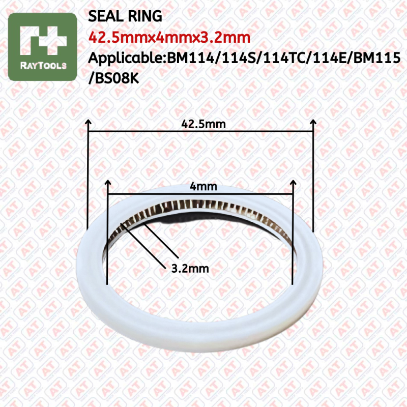 Seal Ring 42.5x4x3.2 Raytools