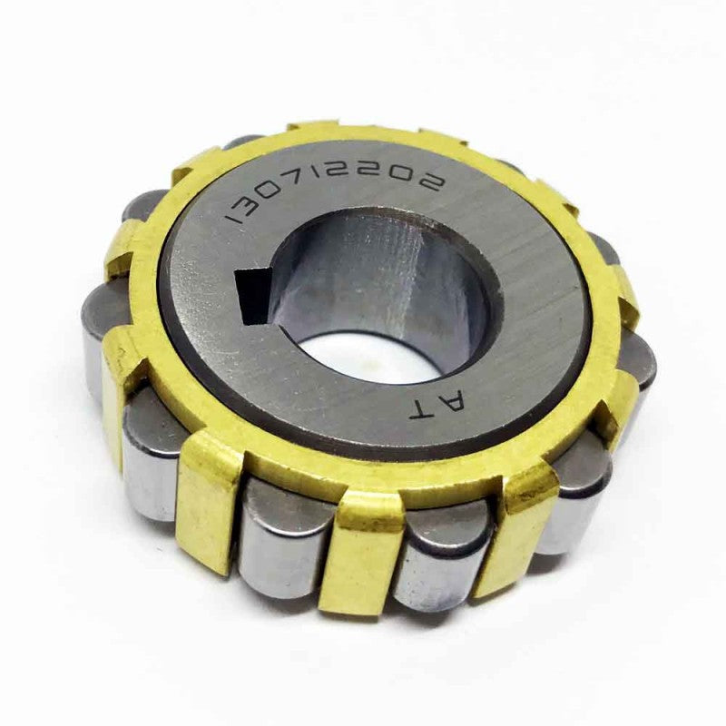 130712202 - Chinese Series , Eccentric Cam Roller Bearings , Cylindrical Roller Bearings | AT-CAM | Abdul Traders