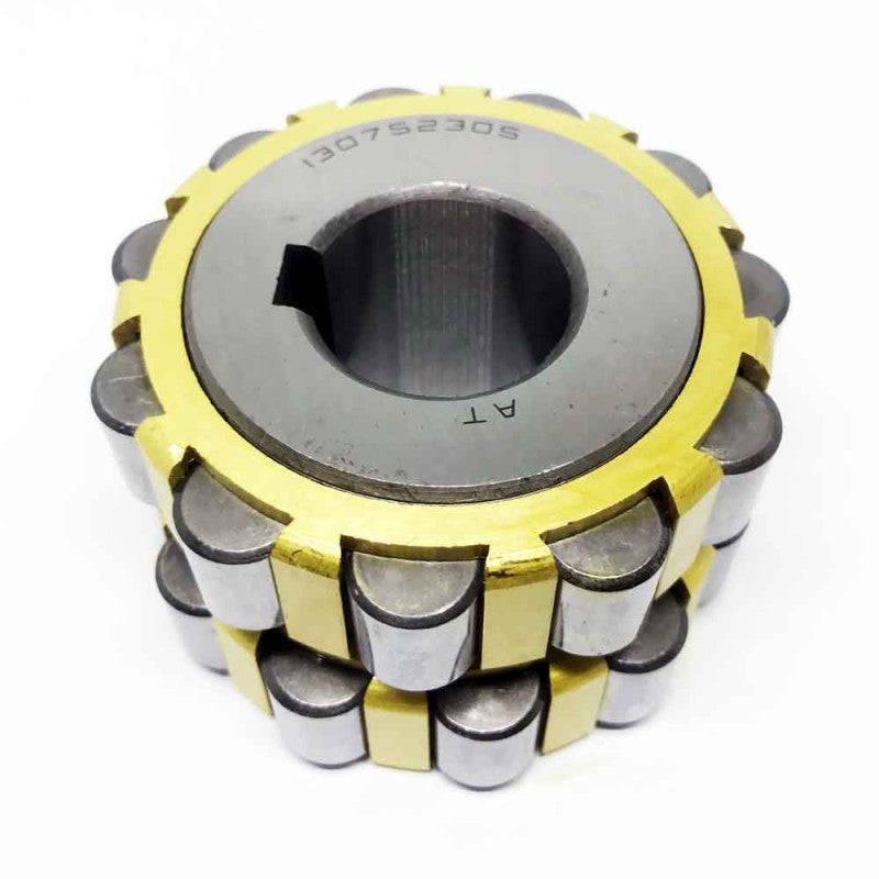 130752305 - Chinese Series , Eccentric Cam Roller Bearings , Cylindrical Roller Bearings | AT-CAM | Abdul Traders